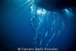 Back to light. The extraordinary visibility at south Red sea by Cipriano (ripli) Gonzalez 